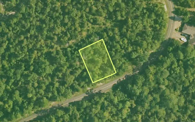 Aerial view of SALINE County parcel 424-00049-000 — Arkansas post-auction with approximate parcel outline