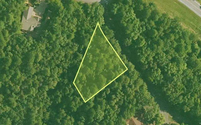 Aerial view of SALINE County parcel 560-00011-000 — Arkansas post-auction with approximate parcel outline
