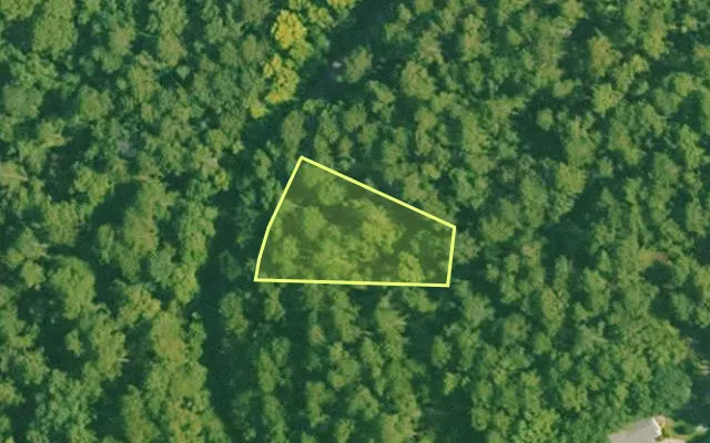 Aerial view of SALINE County parcel 704-00081-000 — Arkansas post-auction with approximate parcel outline