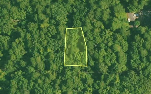 Aerial view of SALINE County parcel 456-00164-000 — Arkansas post-auction with approximate parcel outline