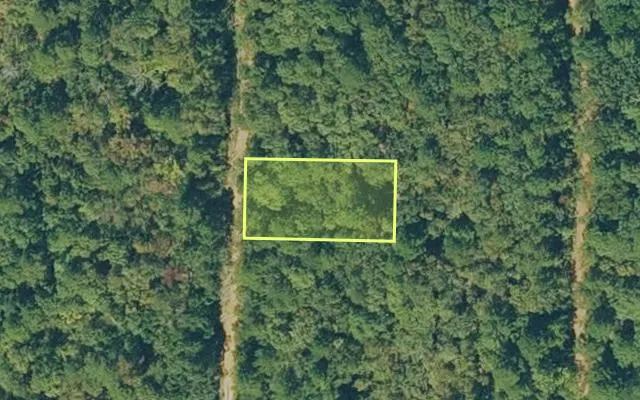 Aerial view of VAN BUREN County parcel 4300-06187-0000 — Arkansas post-auction with approximate parcel outline