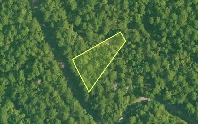 Aerial view of SALINE County parcel 384-00112-000 — Arkansas post-auction with approximate parcel outline