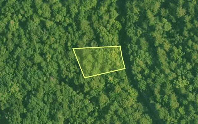 Aerial view of SALINE County parcel 496-00031-000 — Arkansas post-auction with approximate parcel outline