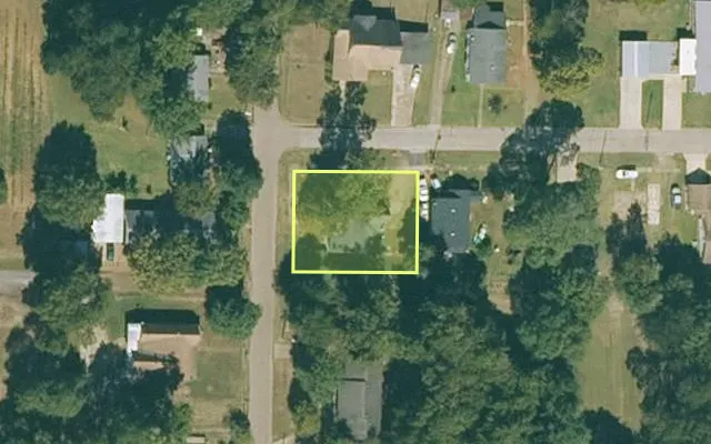 Aerial view of LEE County parcel 05-01694 — Arkansas post-auction with approximate parcel outline