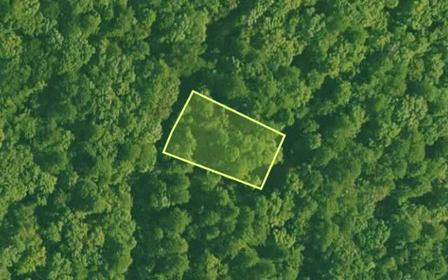 Aerial view of SALINE County parcel 564-00080-000 — Arkansas post-auction with approximate parcel outline