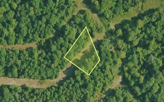 Aerial view of BAXTER County parcel 010-00743-001 — Arkansas post-auction with approximate parcel outline