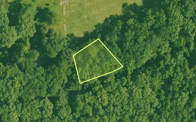 Aerial view of GARLAND County parcel 72651 — Arkansas post-auction with approximate parcel outline