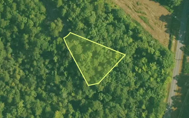 Aerial view of SALINE County parcel 384-00038-000 — Arkansas post-auction with approximate parcel outline