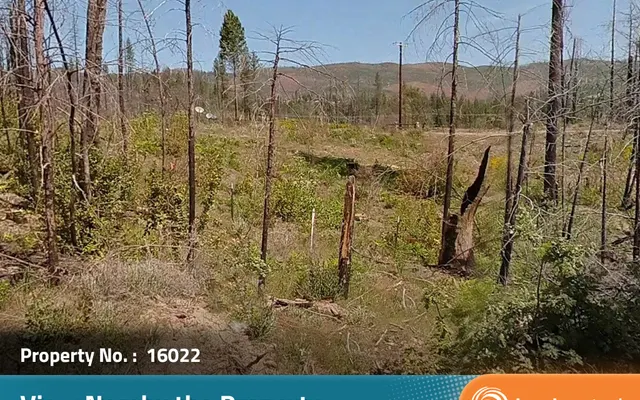 LandCentral listing preview for 0.29 acres in Butte, CA — 16023