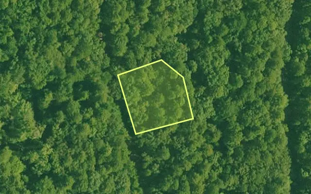 Aerial view of SALINE County parcel 536-00149-000 — Arkansas post-auction with approximate parcel outline