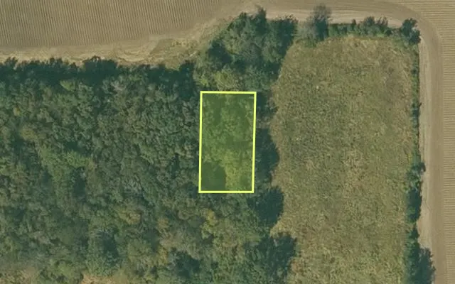 Aerial view of DESHA County parcel 001-05986-000 — Arkansas post-auction with approximate parcel outline