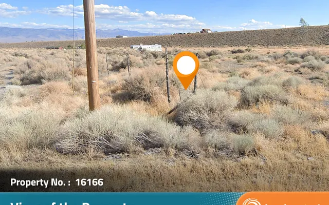 LandCentral listing preview for 0.39 acres in Lander, NV — 16166