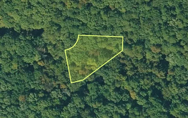 Aerial view of VAN BUREN County parcel 4050-12174-0000 — Arkansas post-auction with approximate parcel outline