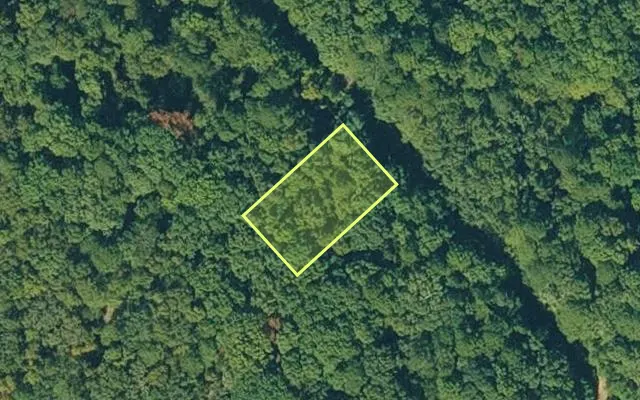 Aerial view of CLEBURNE County parcel 600-03670-000 — Arkansas post-auction with approximate parcel outline