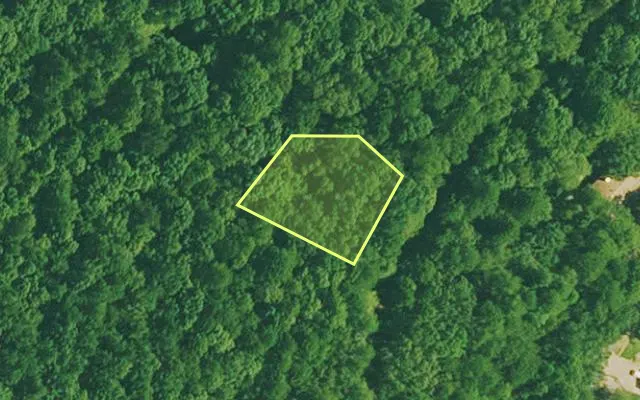 Aerial view of GARLAND County parcel 63425 — Arkansas post-auction with approximate parcel outline