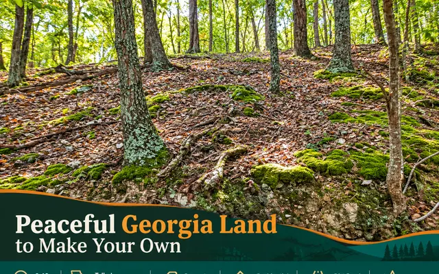 LandCentral listing preview for 0.46 acres in Talbot, GA — 15582