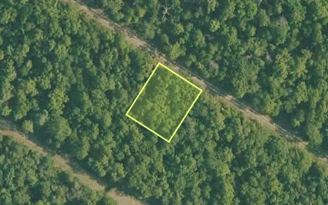 Aerial view of BAXTER County parcel 010-01835-000 — Arkansas post-auction with approximate parcel outline