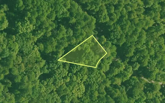 Aerial view of SALINE County parcel 456-00034-000 — Arkansas post-auction with approximate parcel outline
