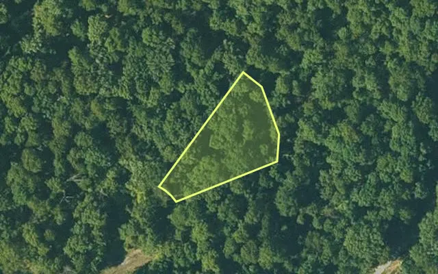 Aerial view of FULTON County parcel 230-14878-000 — Arkansas post-auction with approximate parcel outline