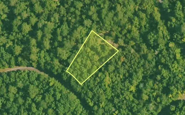 Aerial view of SALINE County parcel 644-00251-000 — Arkansas post-auction with approximate parcel outline
