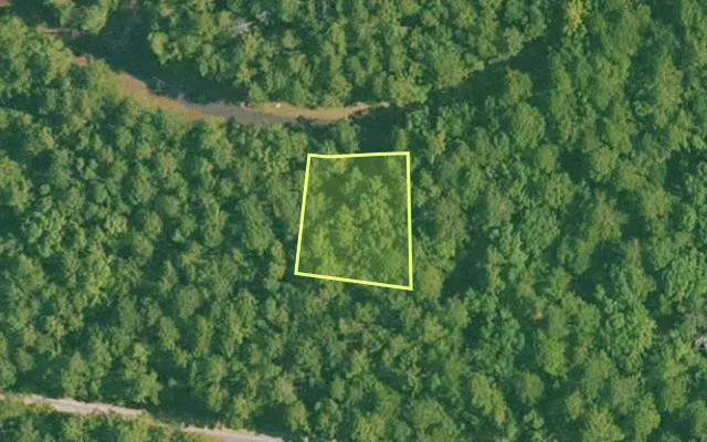 Aerial view of SALINE County parcel 496-00091-000 — Arkansas post-auction with approximate parcel outline