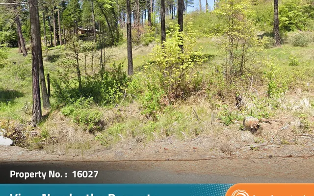 LandCentral listing preview for 0.95 acres in Butte, CA — 16027
