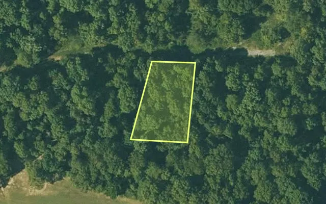 Aerial view of FULTON County parcel 230-14677-000 — Arkansas post-auction with approximate parcel outline