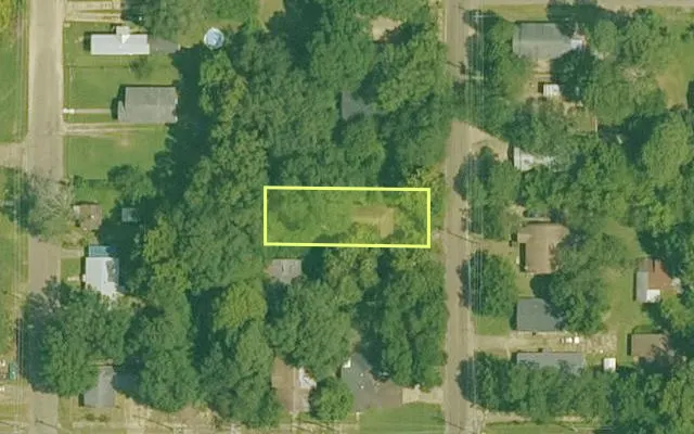 Aerial view of UNION County parcel 00100-00008-0100 — Arkansas post-auction with approximate parcel outline