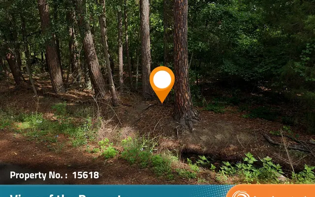 LandCentral listing preview for 0.69 acres in Crisp, GA — 15618