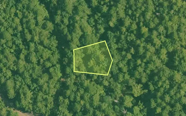 Aerial view of SALINE County parcel 496-00167-000 — Arkansas post-auction with approximate parcel outline