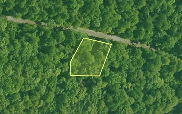 Aerial view of SALINE County parcel 564-00143-000 — Arkansas post-auction with approximate parcel outline
