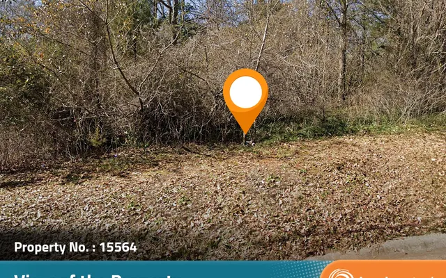 LandCentral listing preview for 0.56 acres in Schley, GA — 15564