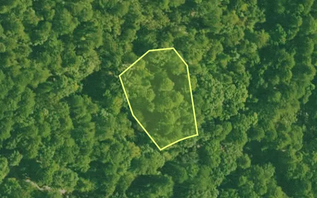 Aerial view of SALINE County parcel 456-00084-000 — Arkansas post-auction with approximate parcel outline