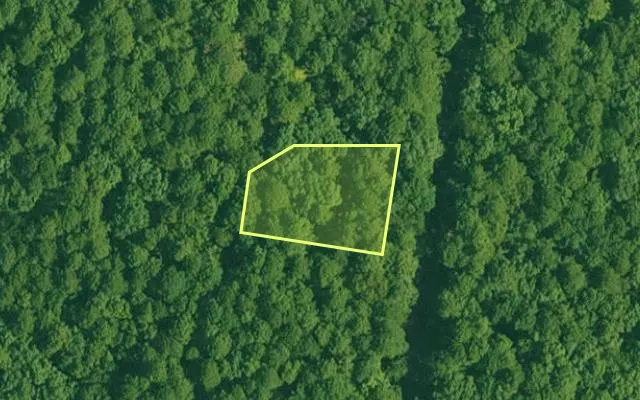 Aerial view of GARLAND County parcel 60688 — Arkansas post-auction with approximate parcel outline