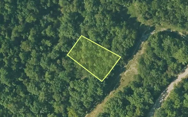Aerial view of FULTON County parcel 290-17256-000 — Arkansas post-auction with approximate parcel outline