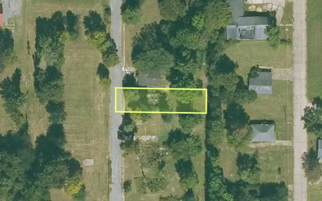 Aerial view of MISSISSIPPI County parcel 305-07305-000 — Arkansas post-auction with approximate parcel outline