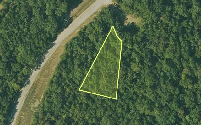 Aerial view of FULTON County parcel 360-19956-000 — Arkansas post-auction with approximate parcel outline