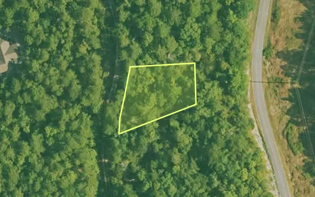 Aerial view of SALINE County parcel 608-00055-000 — Arkansas post-auction with approximate parcel outline