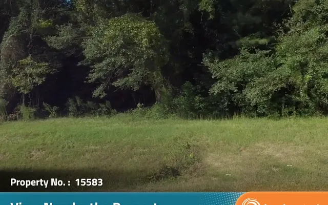 LandCentral listing preview for 0.36 acres in Talbot, GA — 15583
