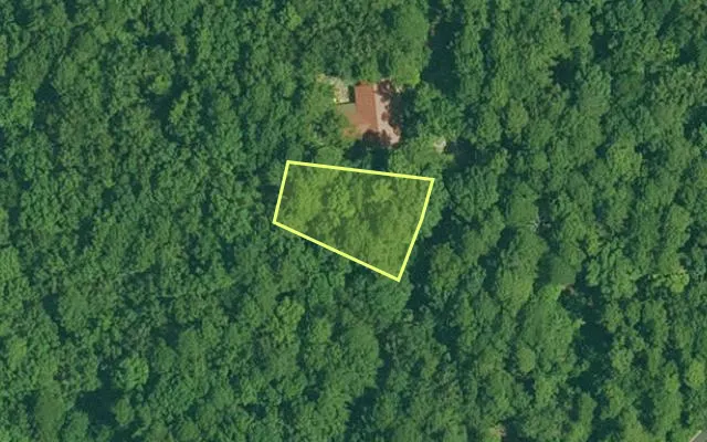 Aerial view of GARLAND County parcel 61290 — Arkansas post-auction with approximate parcel outline
