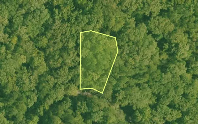 Aerial view of GARLAND County parcel 72489 — Arkansas post-auction with approximate parcel outline
