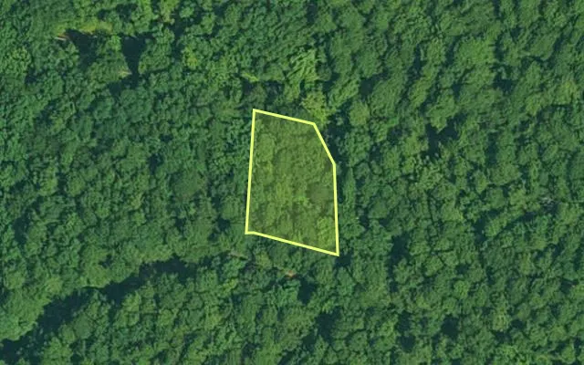 Aerial view of GARLAND County parcel 64204 — Arkansas post-auction with approximate parcel outline