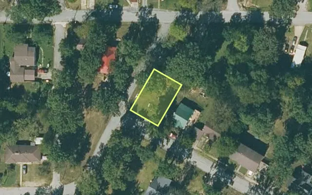 Aerial view of RANDOLPH County parcel 020-00988-000 — Arkansas post-auction with approximate parcel outline