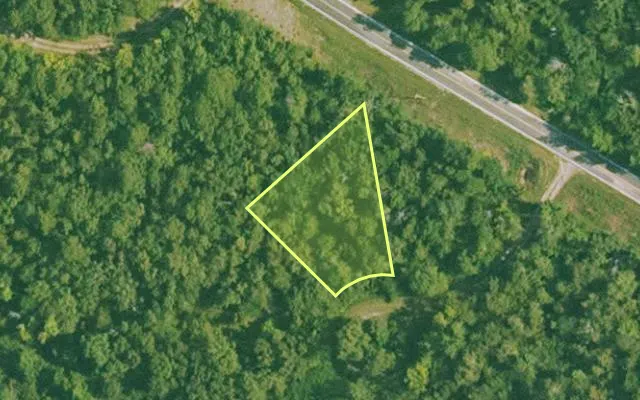 Aerial view of SALINE County parcel 600-00081-000 — Arkansas post-auction with approximate parcel outline
