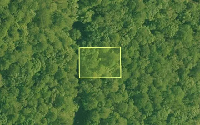 Aerial view of GARLAND County parcel 74270 — Arkansas post-auction with approximate parcel outline