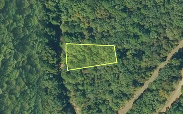 Aerial view of VAN BUREN County parcel 4300-01172-0000 — Arkansas post-auction with approximate parcel outline