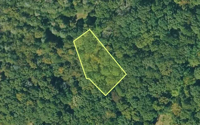 Aerial view of VAN BUREN County parcel 4300-04020-0000 — Arkansas post-auction with approximate parcel outline