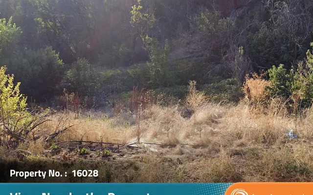 LandCentral listing preview for 1.24 acres in Butte, CA — 16028