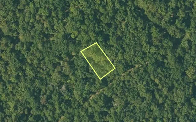 Aerial view of FULTON County parcel 105-10088-000 — Arkansas post-auction with approximate parcel outline