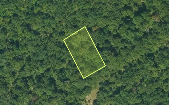 Aerial view of IZARD County parcel 800-12579-000 — Arkansas post-auction with approximate parcel outline